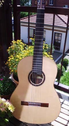 Gitarre